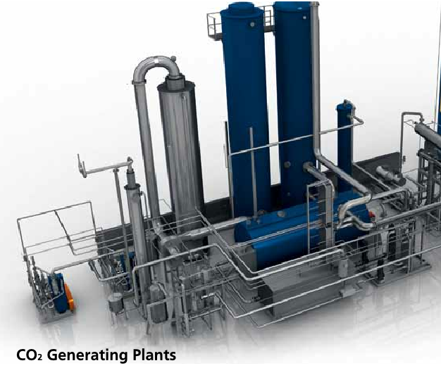 CO2 & steam cogeneration production